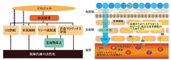 炭酸ガスパック「メディプローラーＡＡ］