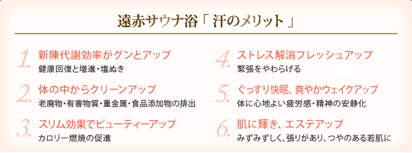 遠赤外線ドームサウナ「イオノーム」マイナスイオン発生装置付き