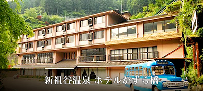 新祖谷温泉 ホテルかずら橋