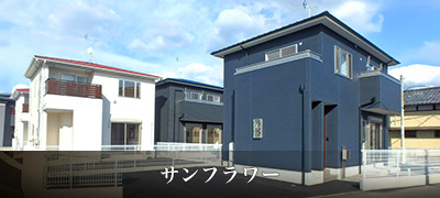 サンフラワー